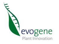 Israeli biotechnology company Evogene announced plans to establish its U.S. headquarters at the Bio-Research & Development Growth (BRDG) Park in St. Louis, Missouri. The company's expansion into Missouri includes a $1M capital investment and is expected to create 15 jobs in the next three years.