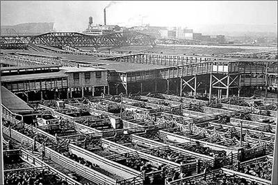 "The Kansas City stockyards in their glory days - unless you were a cow. Today, antique stores have crowded in." (Missouri Farmer Today photo)
